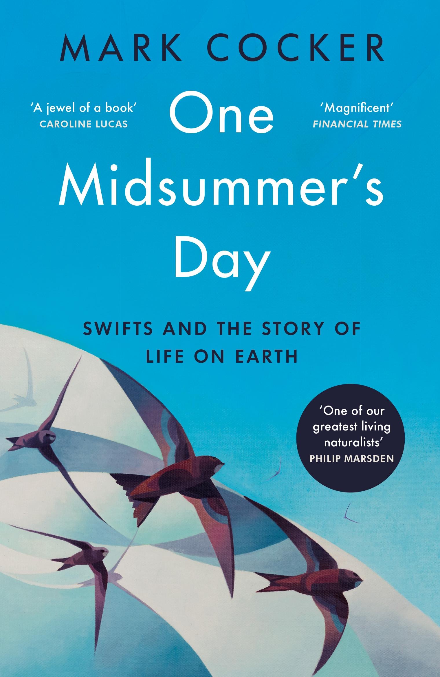 Vorderes Coverbild One Midsummer's Day