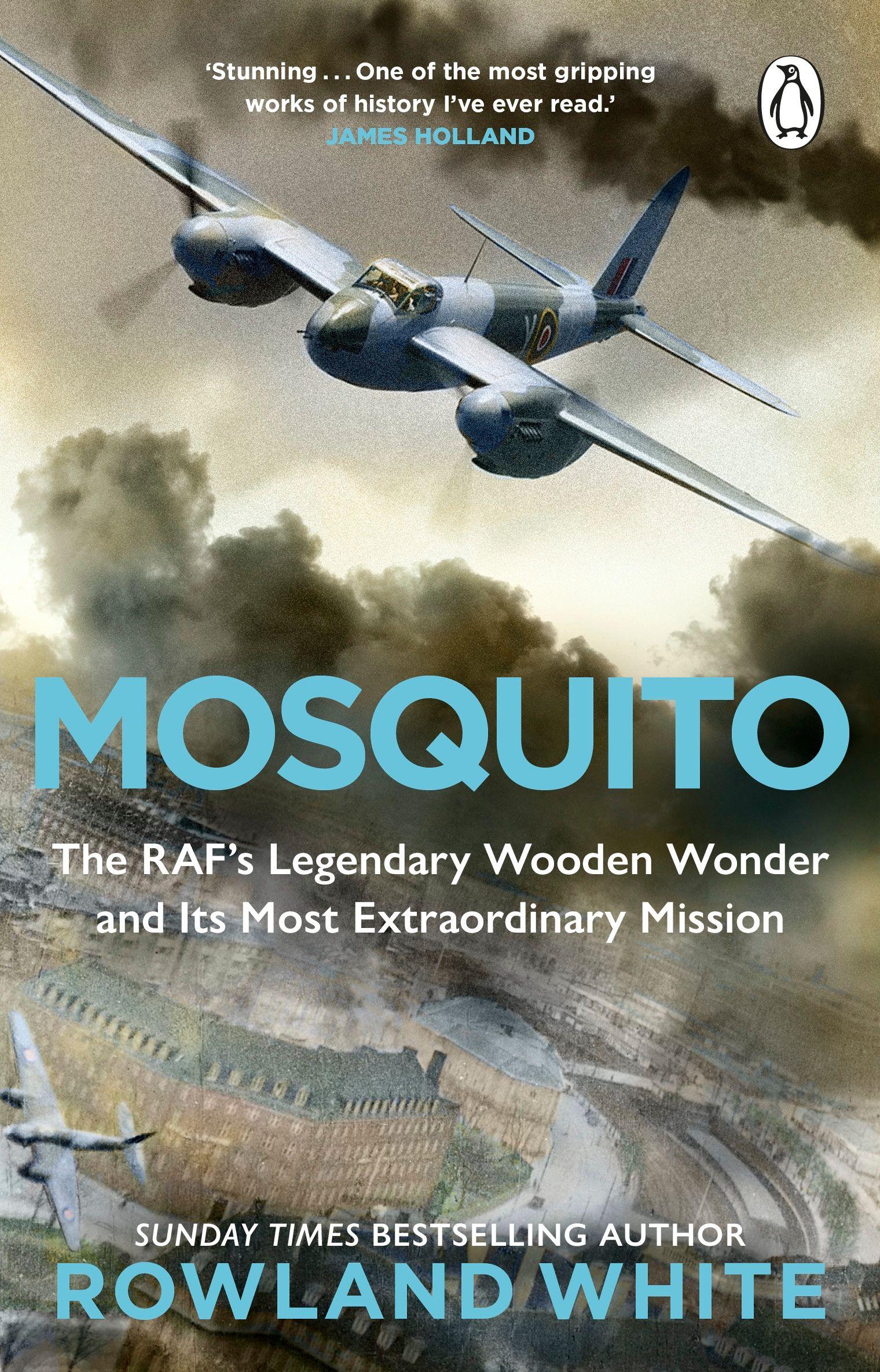 Vorderes Coverbild Mosquito