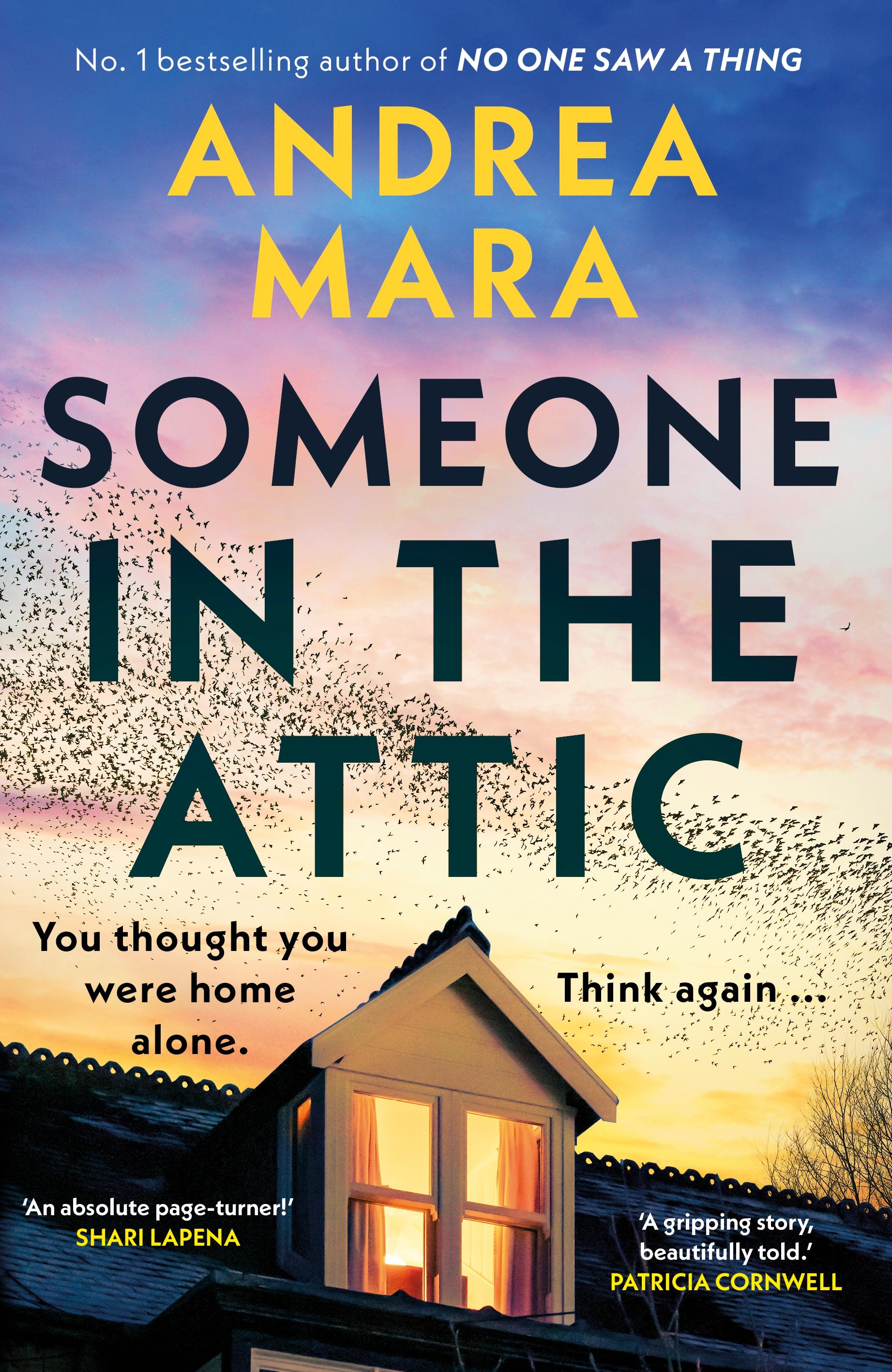 Vorderes Coverbild Someone in the Attic