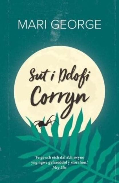 Vorderes Coverbild Sut i Ddofi Corryn