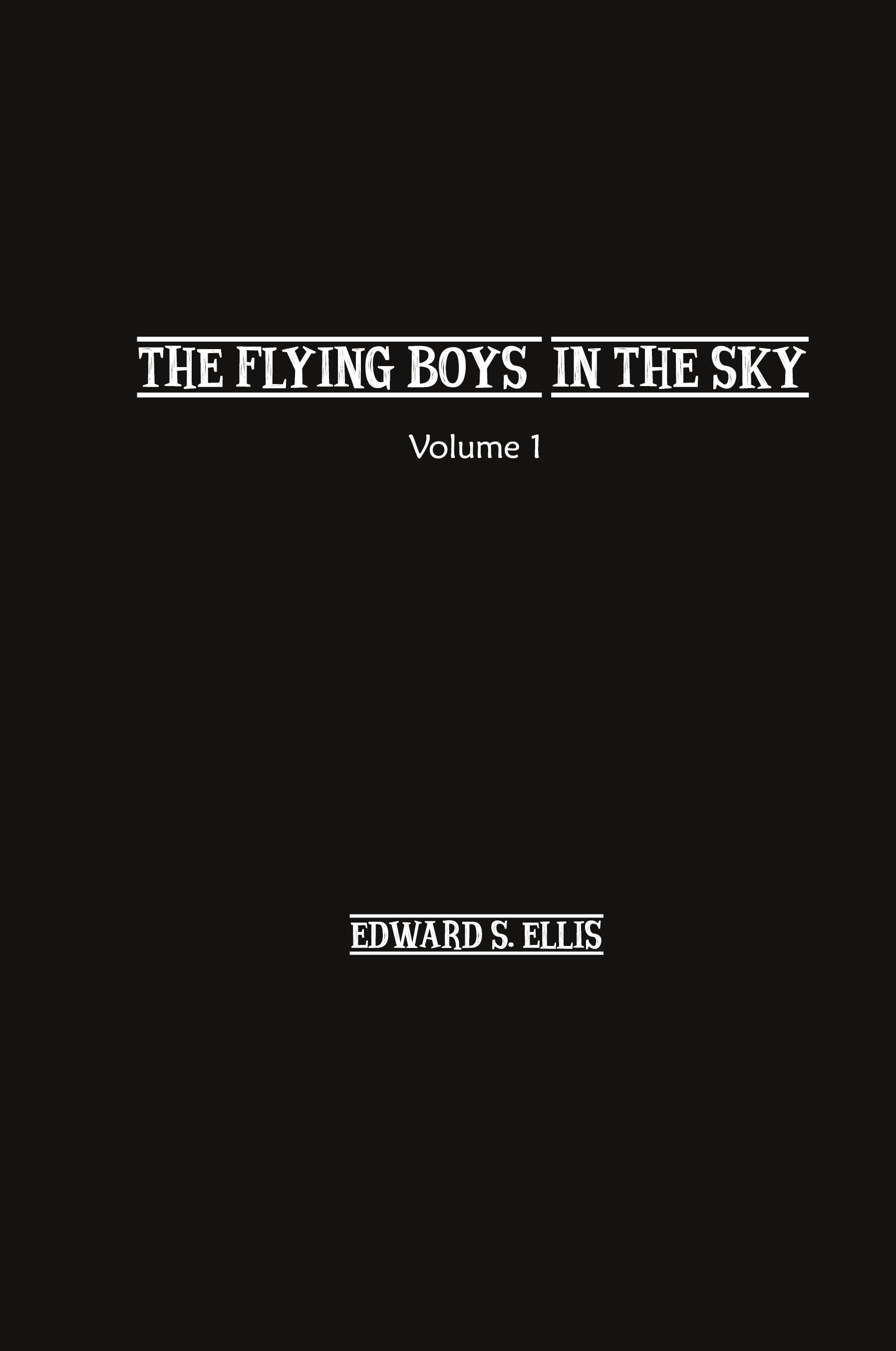 Vorderes Coverbild The Fly Boys in the Sky