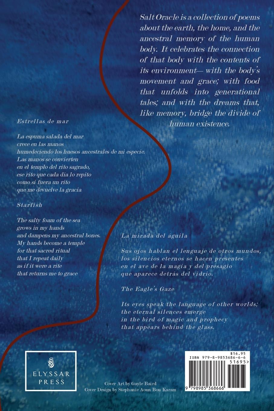 Rückseitencover Salt Oracle