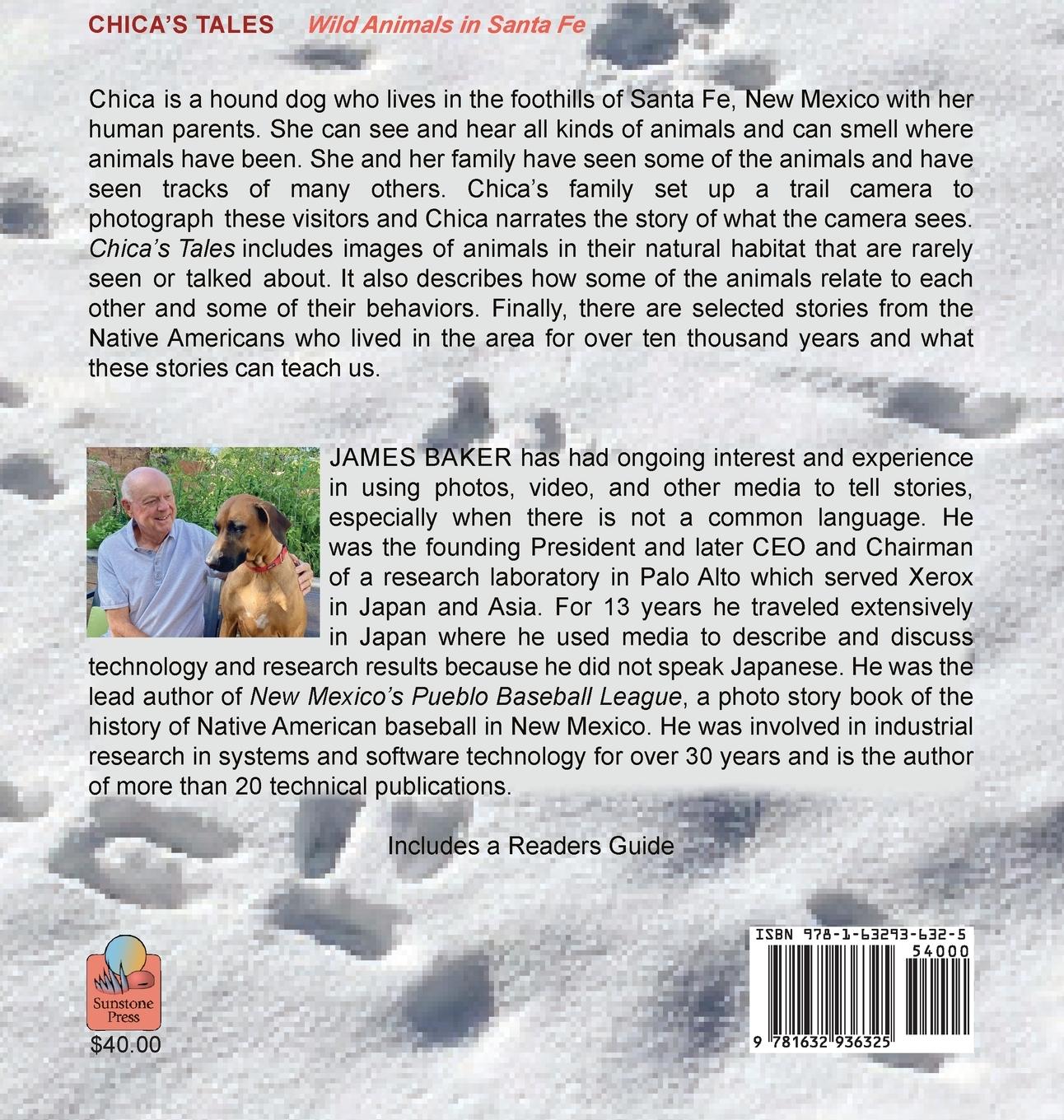 Rückseitencover Chica's Tales