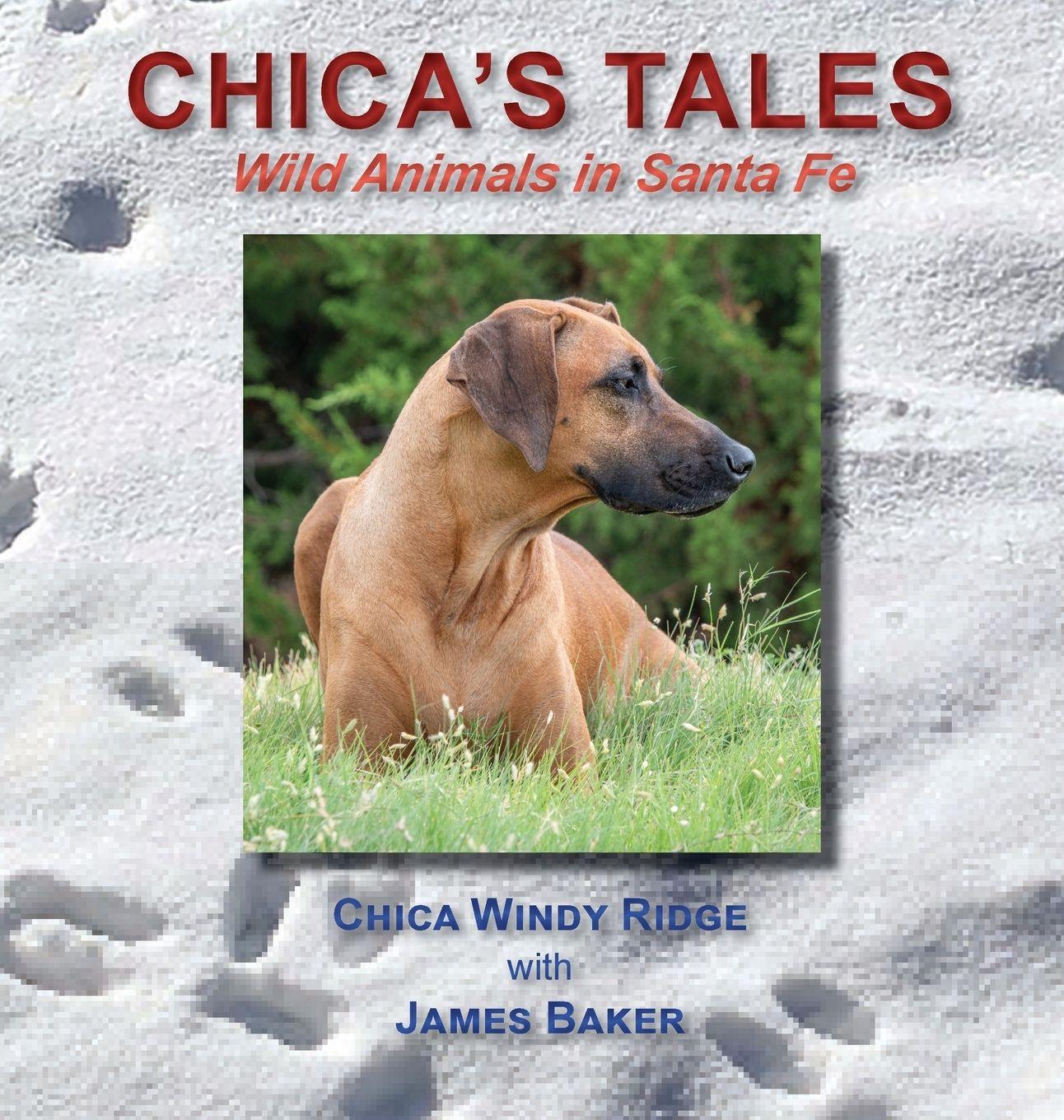 Vorderes Coverbild Chica's Tales