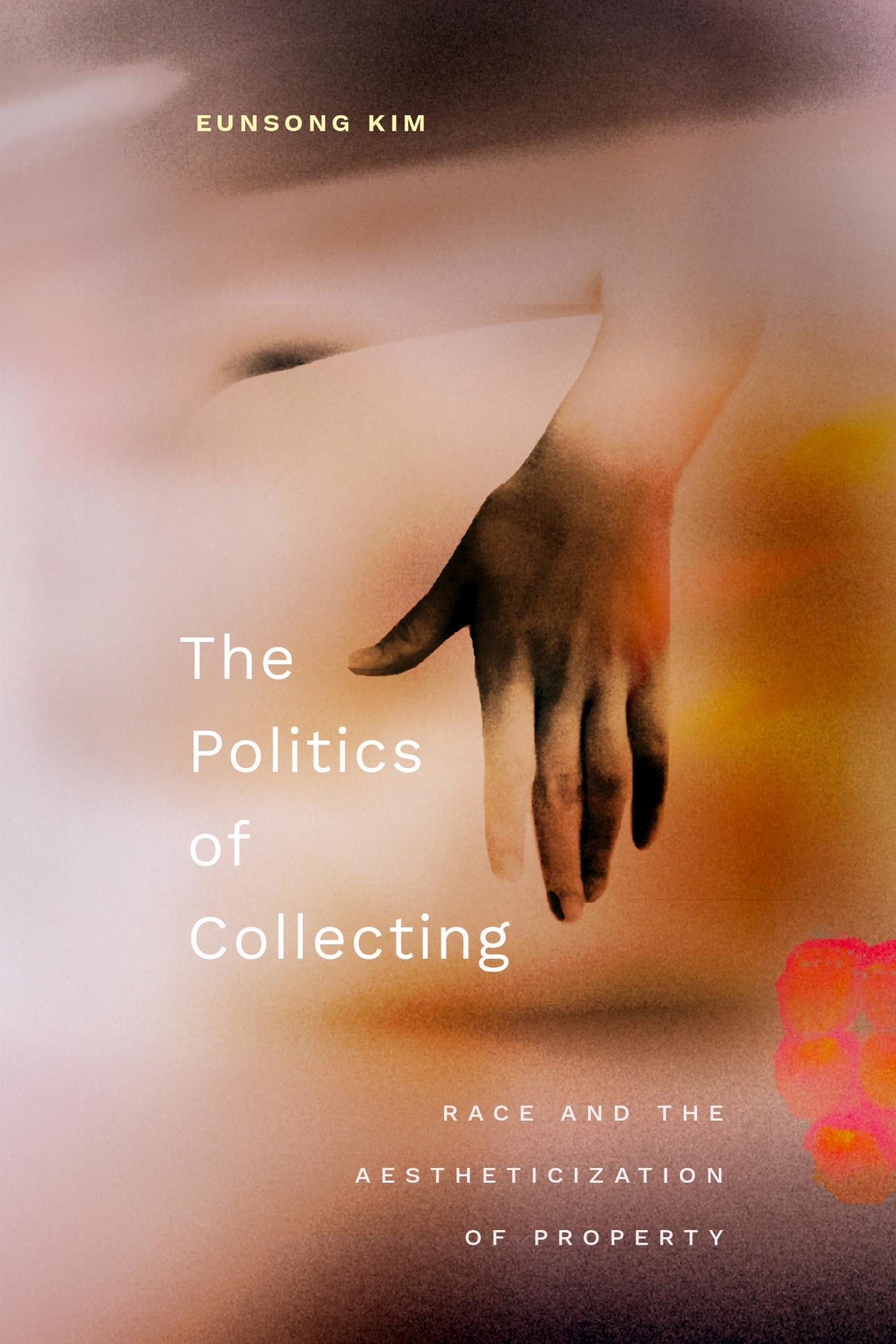 Vorderes Coverbild The Politics of Collecting