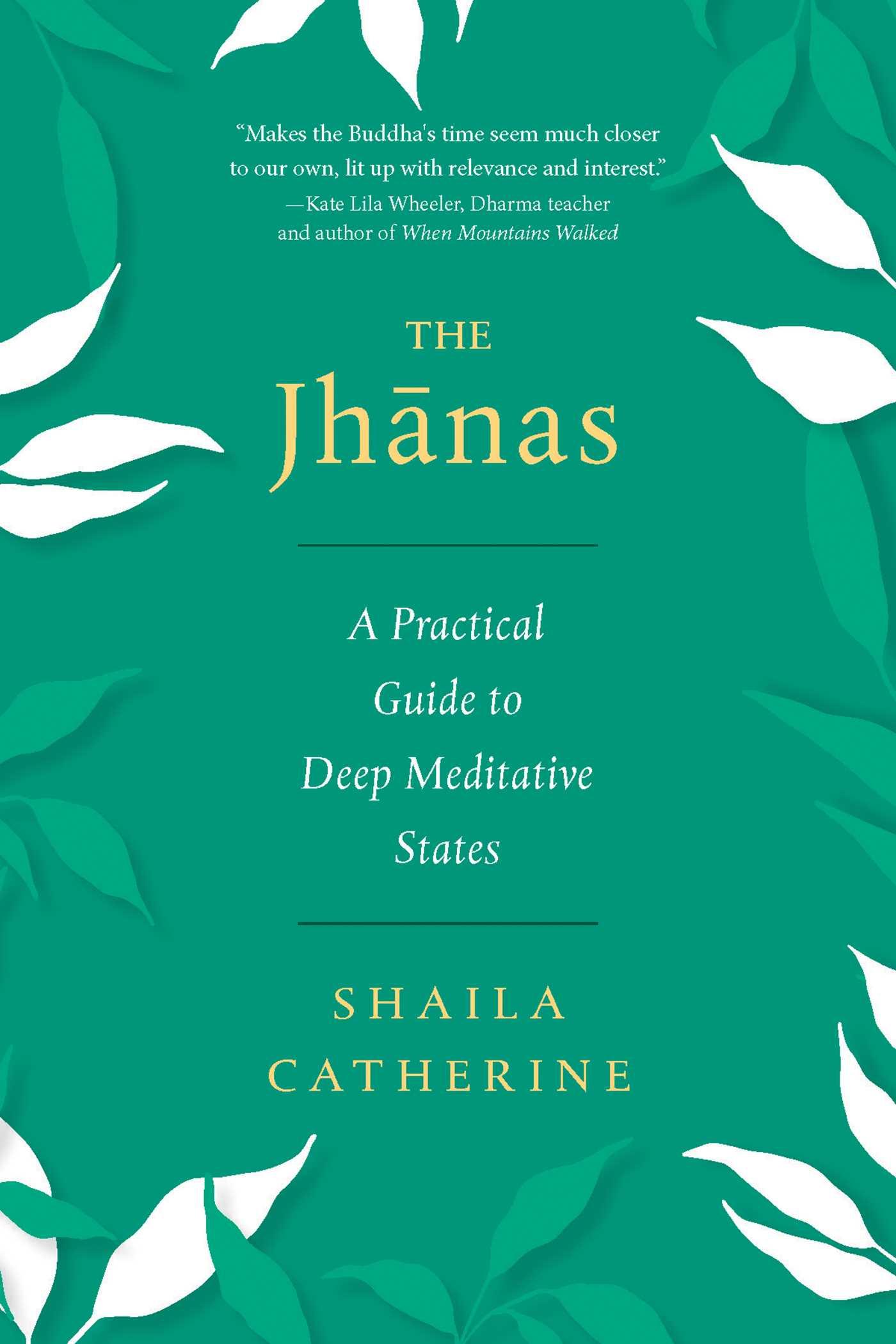 Vorderes Coverbild The Jhanas