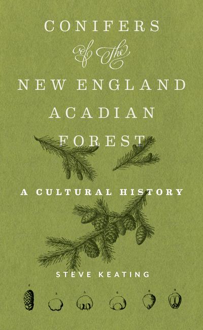 Vorderes Coverbild Conifers of the New England-Acadian Forest
