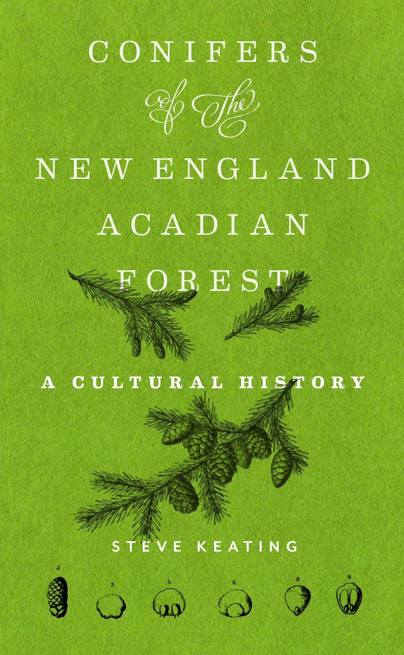 Vorderes Coverbild Conifers of the New England-Acadian Forest