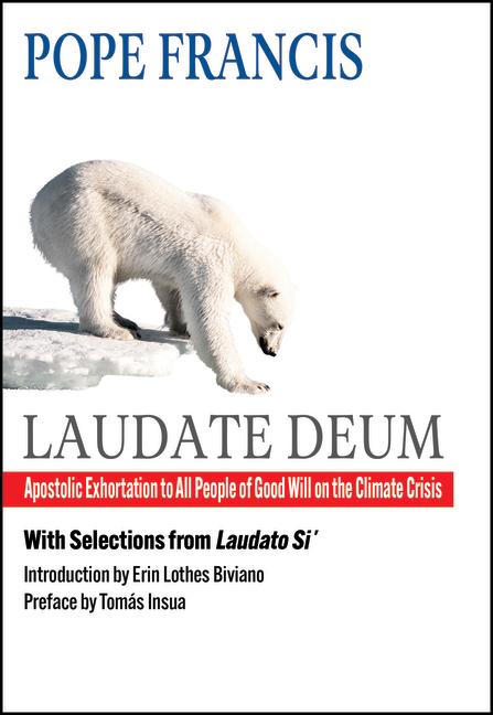 Vorderes Coverbild Laudate Deum: Apostolic Exhortation to All People of Good Will on the Climate Crisis