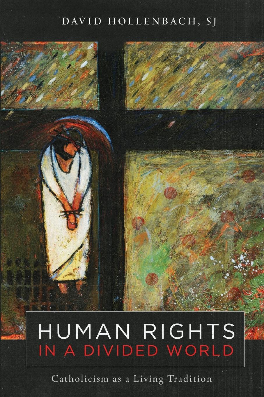Vorderes Coverbild Human Rights in a Divided World