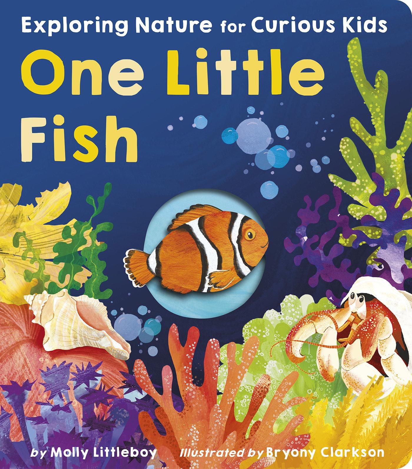 Vorderes Coverbild One Little Fish