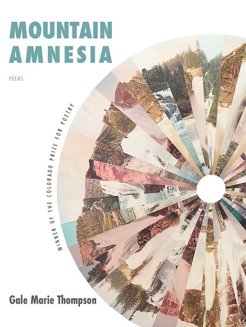 Vorderes Coverbild Mountain Amnesia
