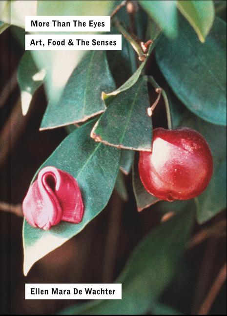 Vorderes Coverbild More Than the Eyes