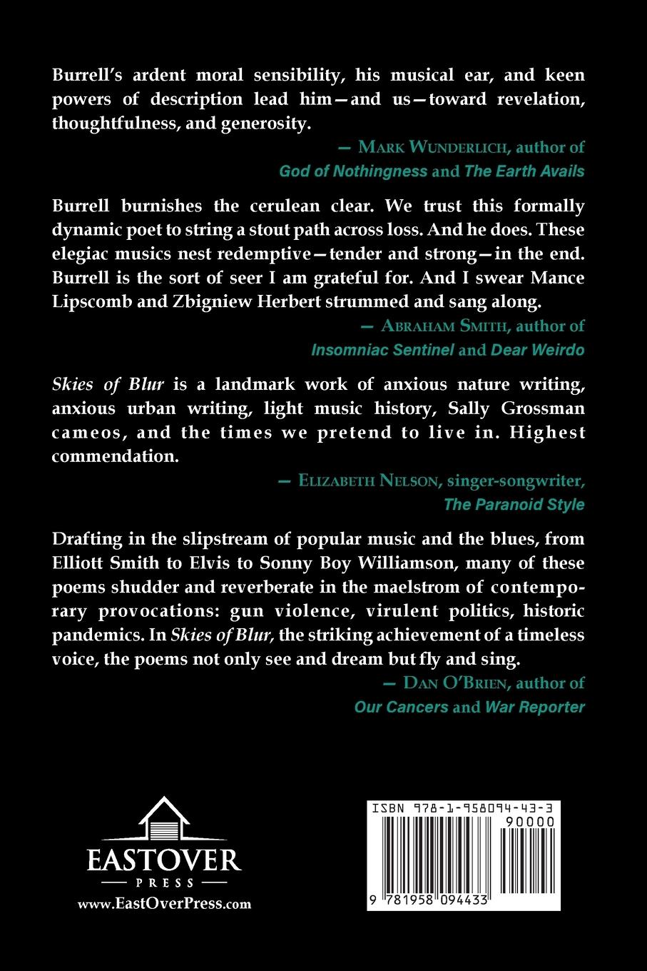 Rückseitencover Skies of Blur