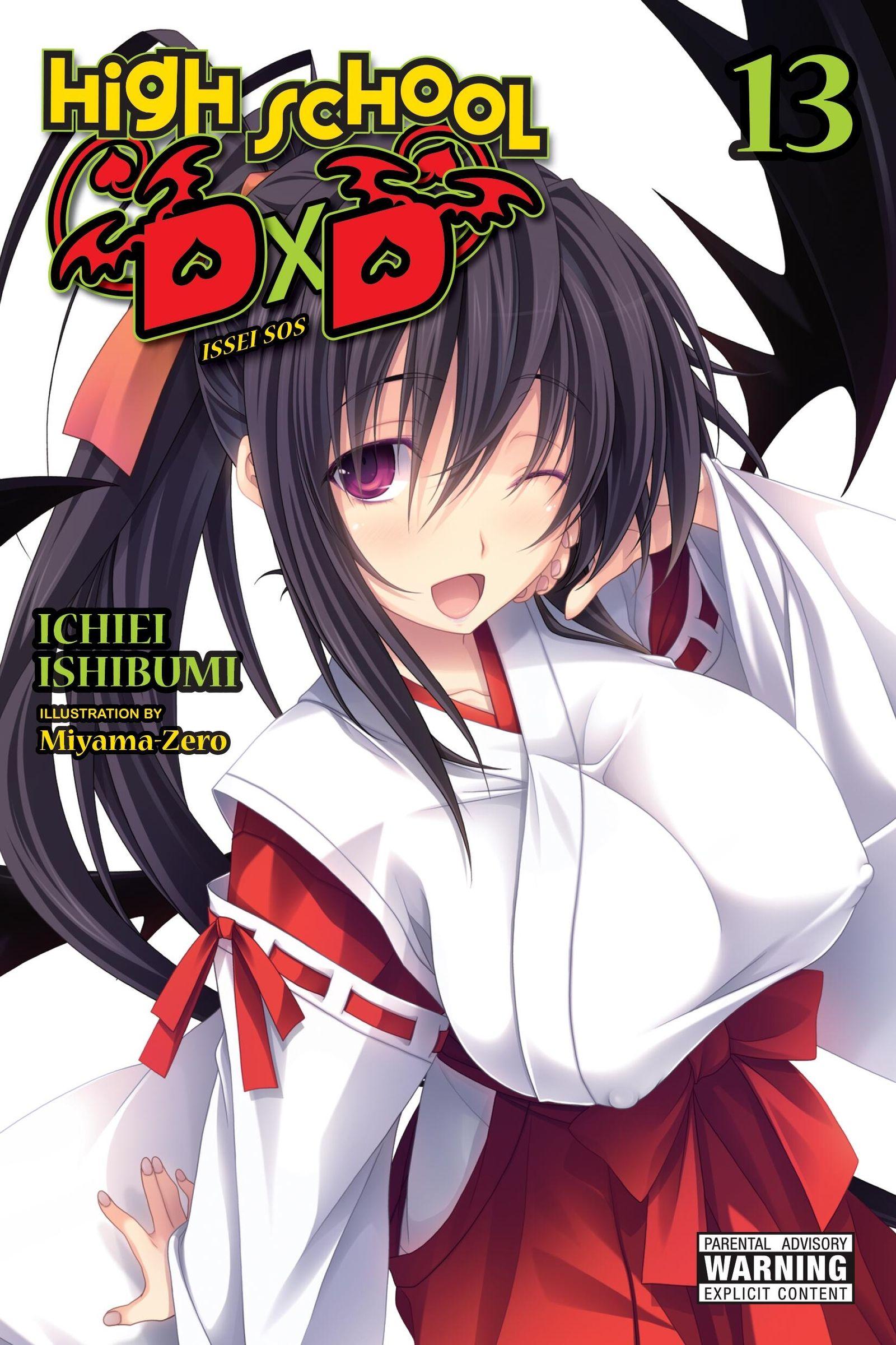Vorderes Coverbild High School DXD, Vol. 13 (Light Novel)