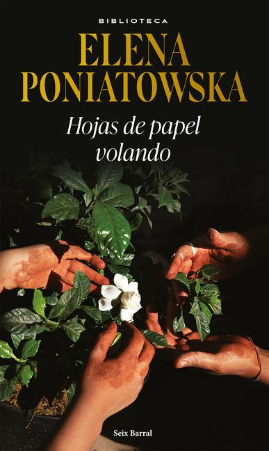 Vorderes Coverbild Hojas de Papel Volando