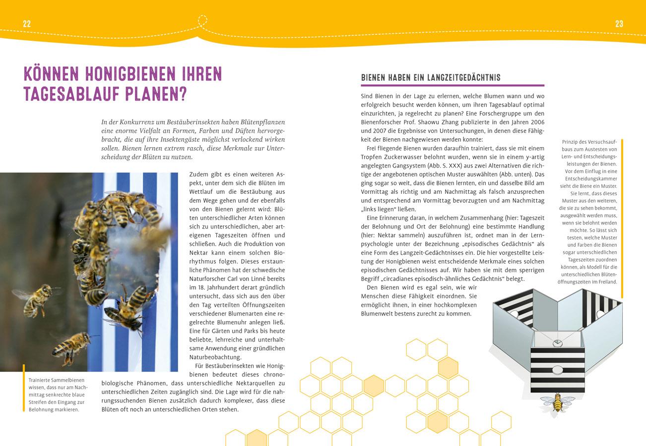 Beispielinhalt (Bild) Auch Bienen haben Schweißfüße