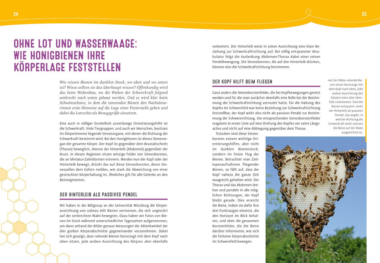 Beispielinhalt (Bild) Auch Bienen haben Schweißfüße