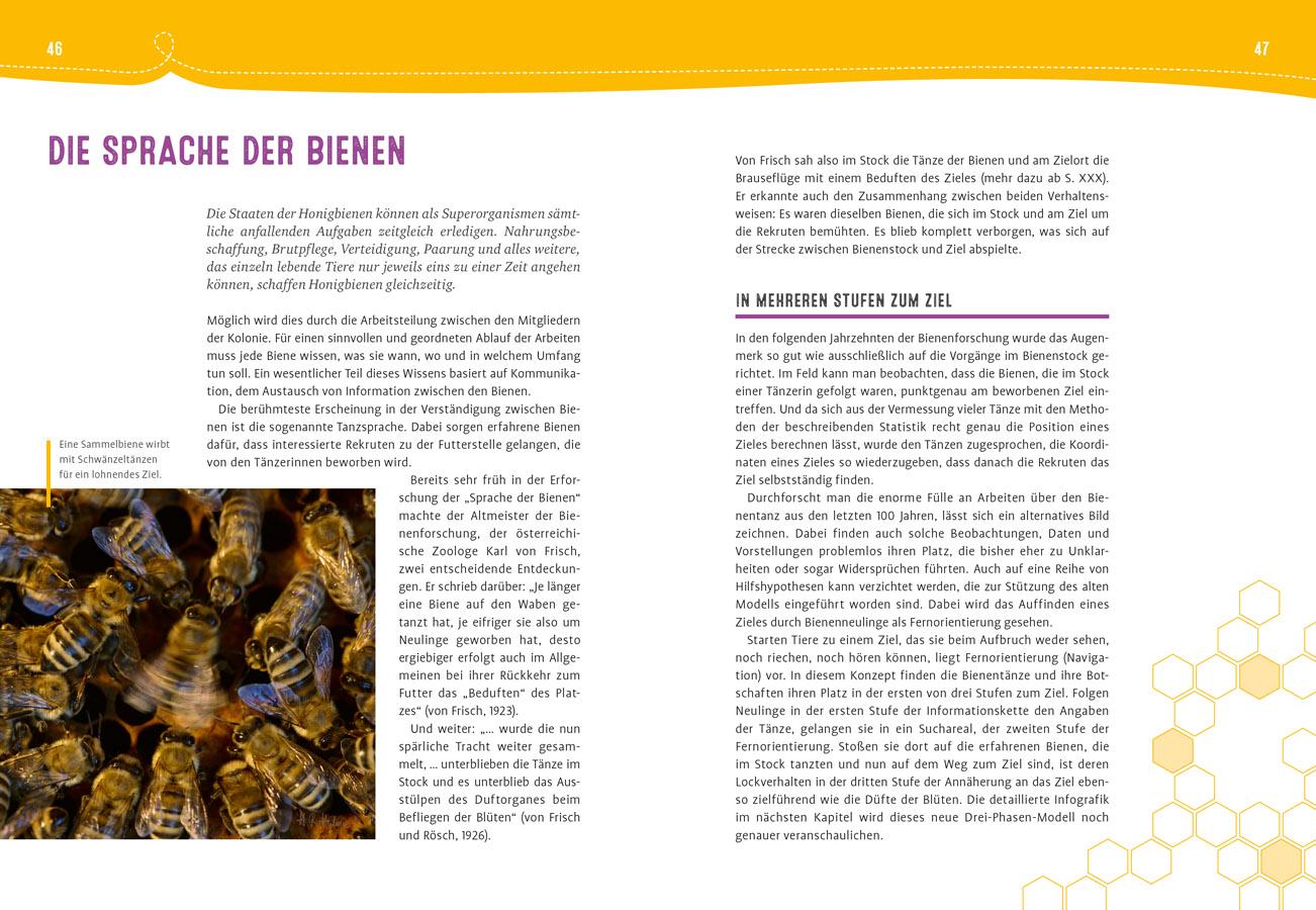 Beispielinhalt (Bild) Auch Bienen haben Schweißfüße