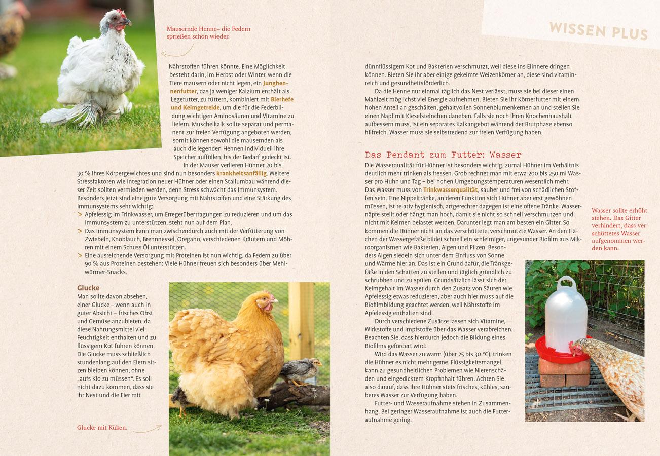 Beispielinhalt (Bild) Hilfe, mein Huhn niest!