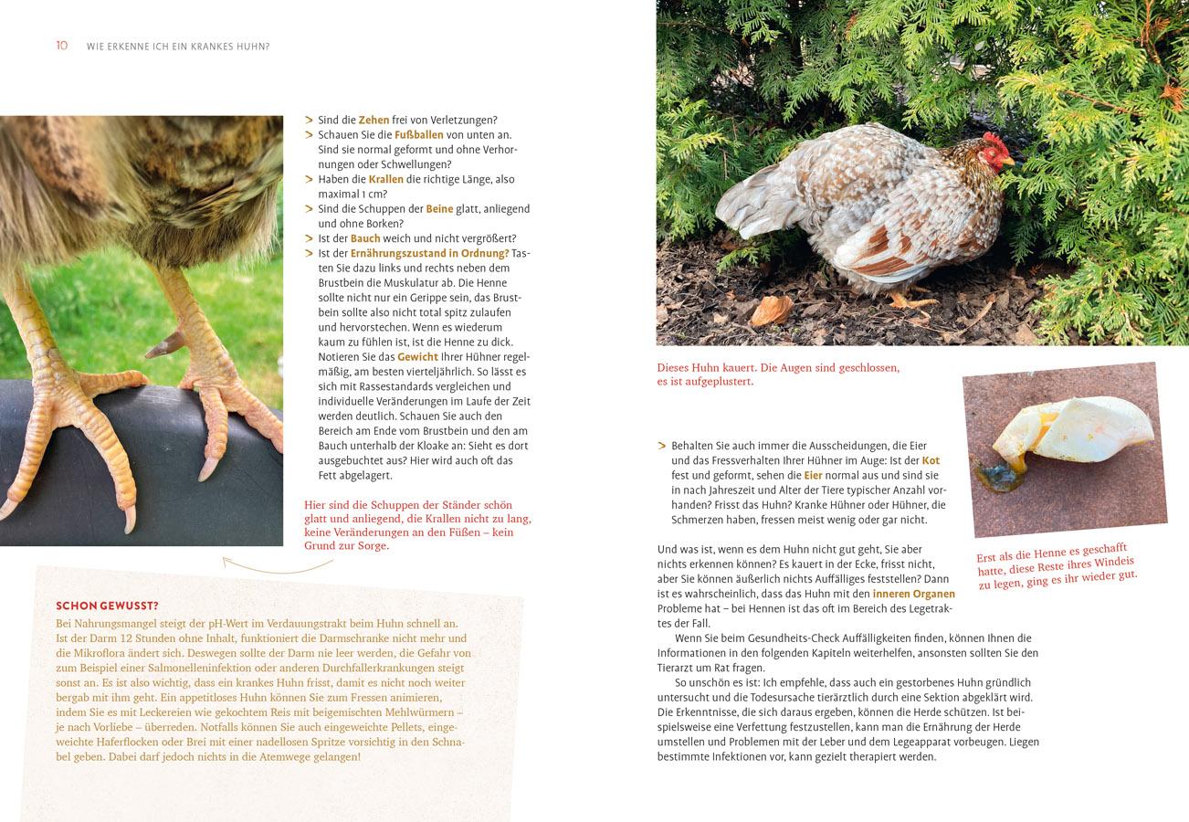 Beispielinhalt (Bild) Hilfe, mein Huhn niest!