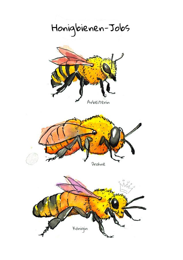 Beispielinhalt (Bild) OMG Bees!