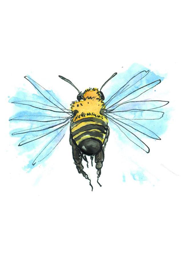 Beispielinhalt (Bild) OMG Bees!