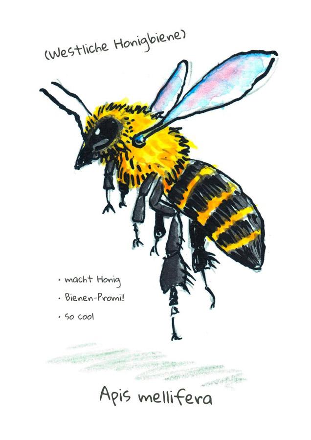 Beispielinhalt (Bild) OMG Bees!
