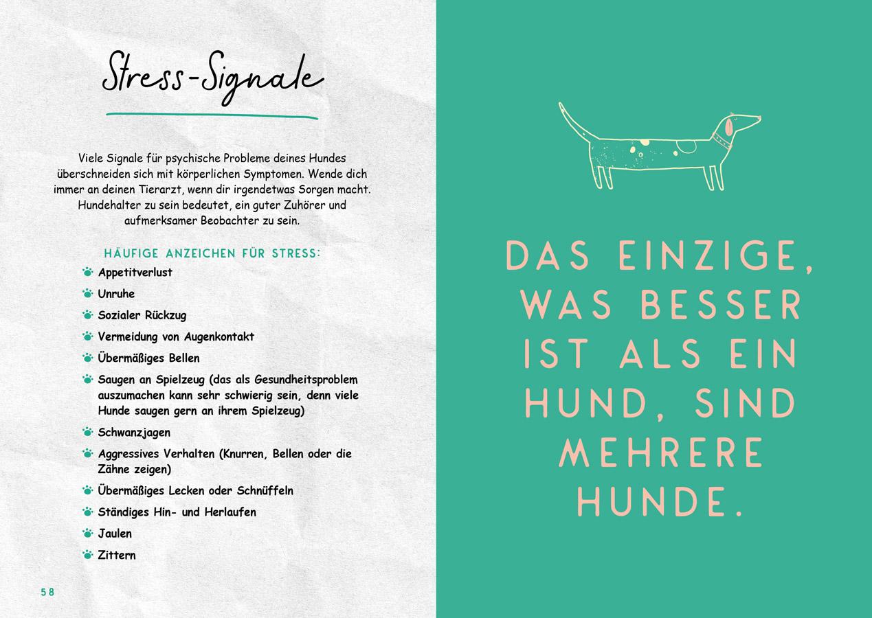 Beispielinhalt (Bild) Mein super Hund und ich