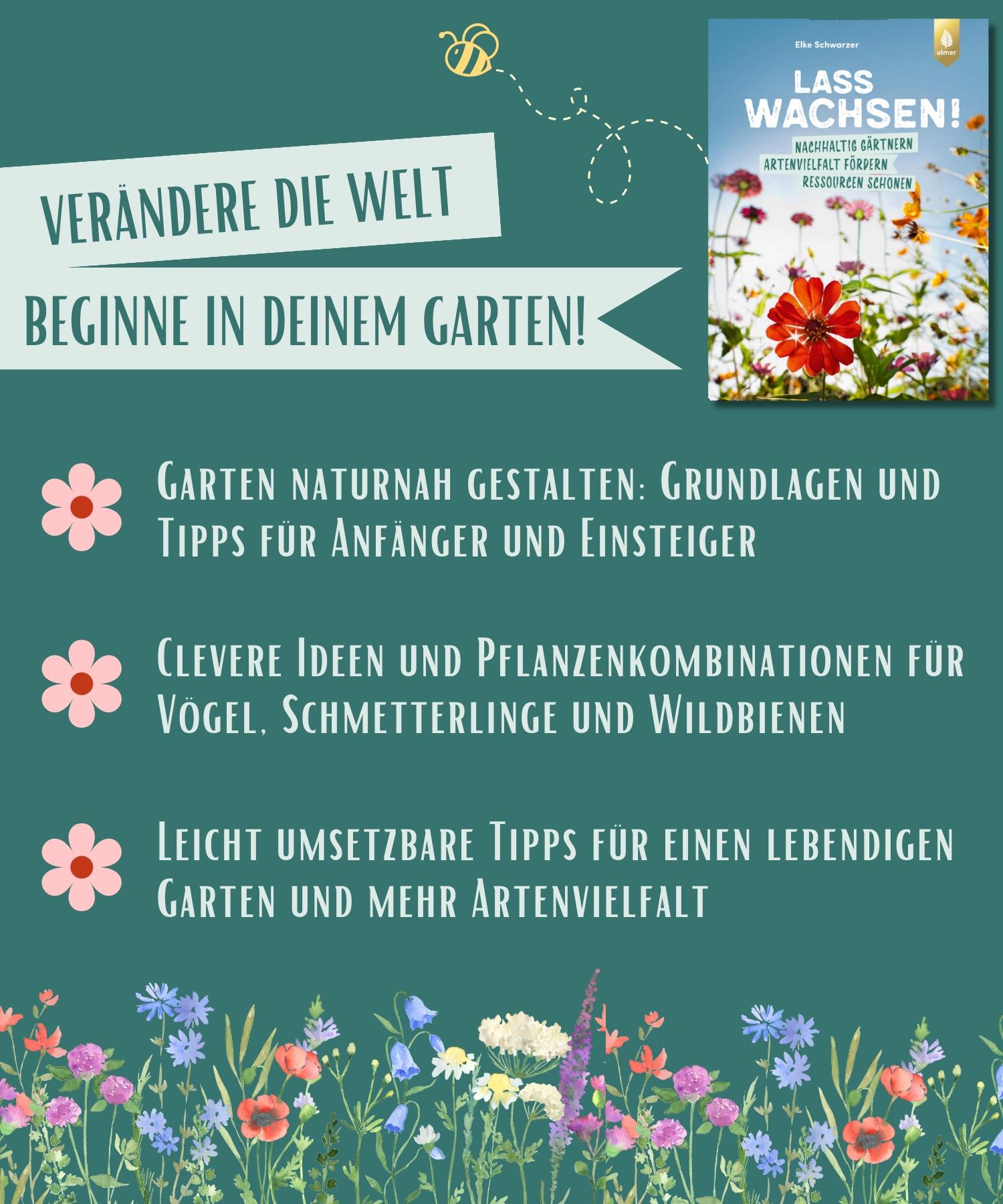 Beispielinhalt (Bild) Lass wachsen!