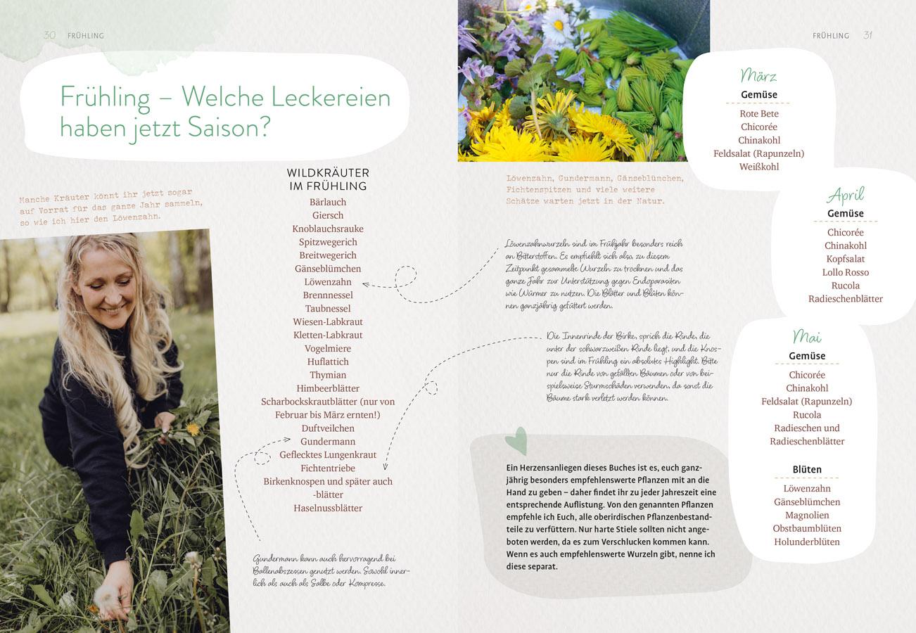 Beispielinhalt (Bild) Was sucht das Huhn im Kräuterbeet?