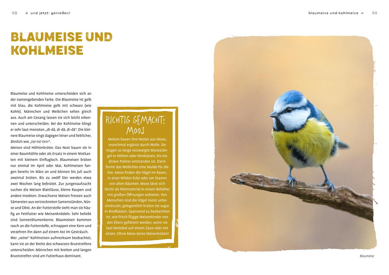 Beispielinhalt (Bild) Mehr Gezwitscher im Garten