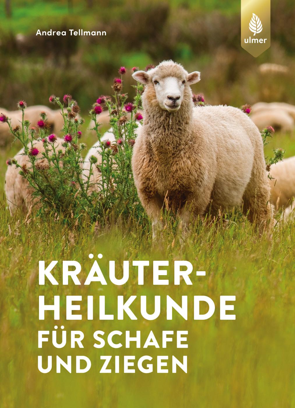 Vorderes Coverbild Kräuterheilkunde für Schafe und Ziegen