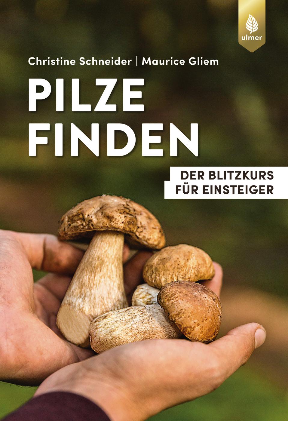 Vorderes Coverbild Pilze finden