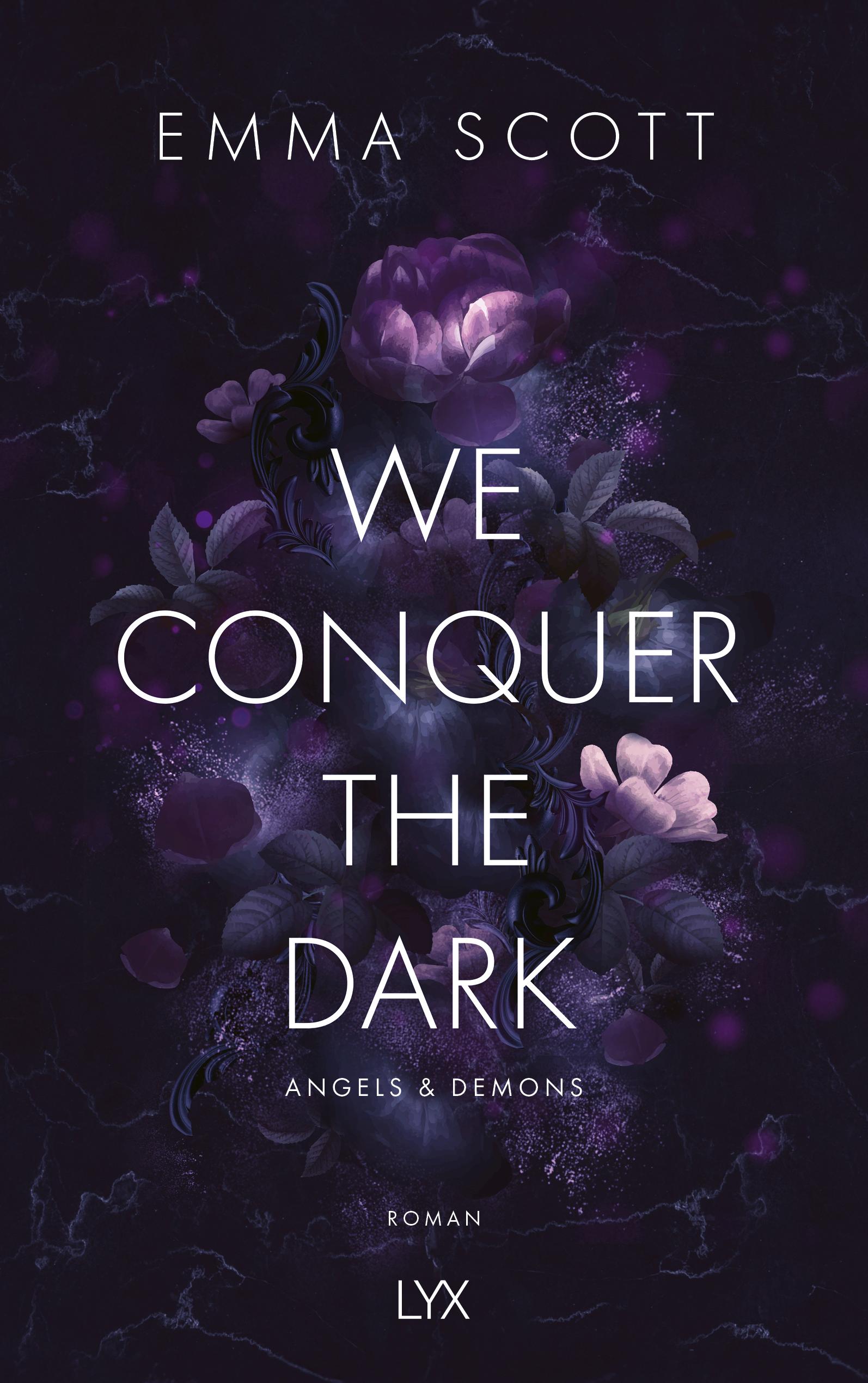 Vorderes Coverbild We Conquer the Dark