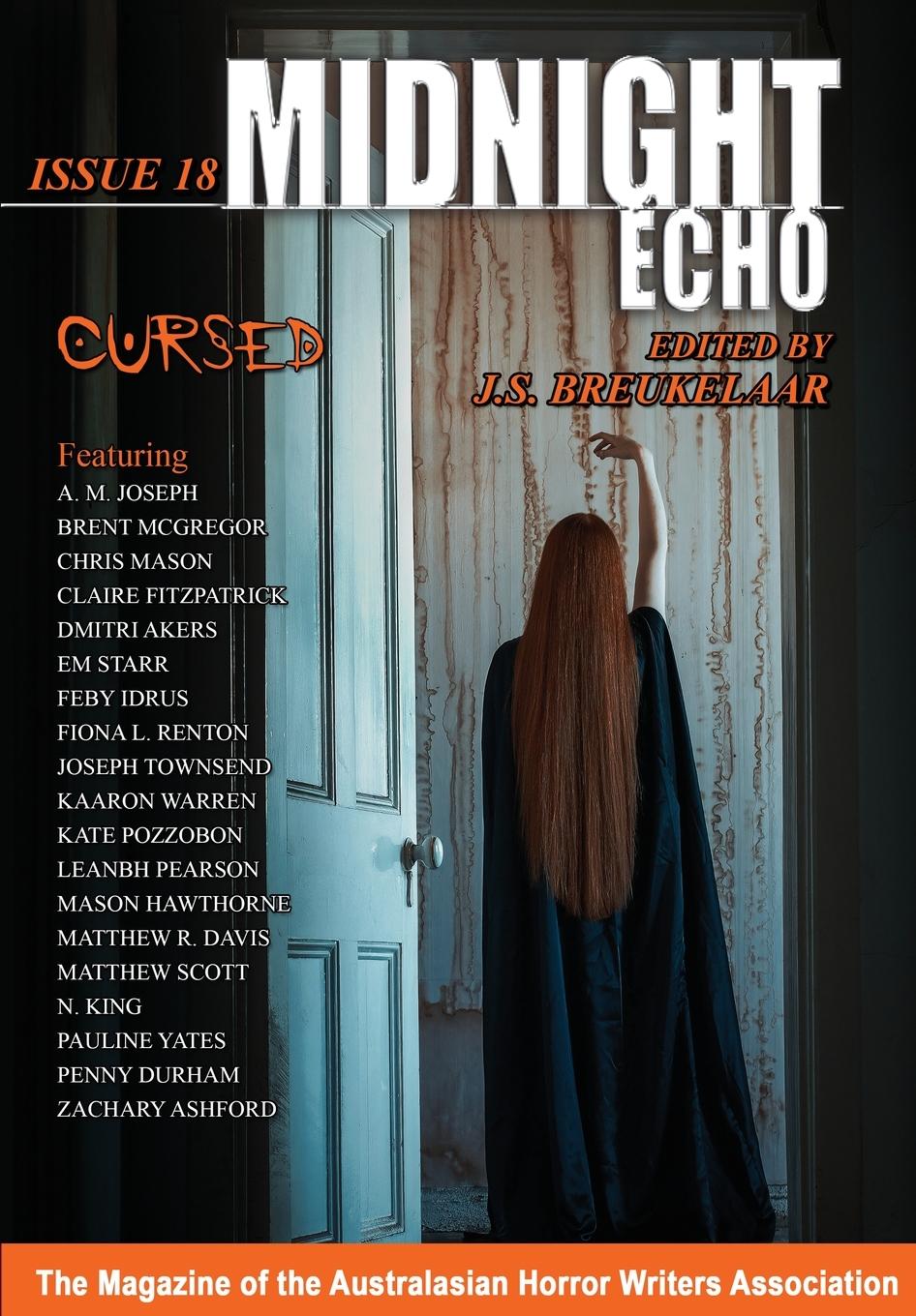 Vorderes Coverbild Midnight Echo Issue 18