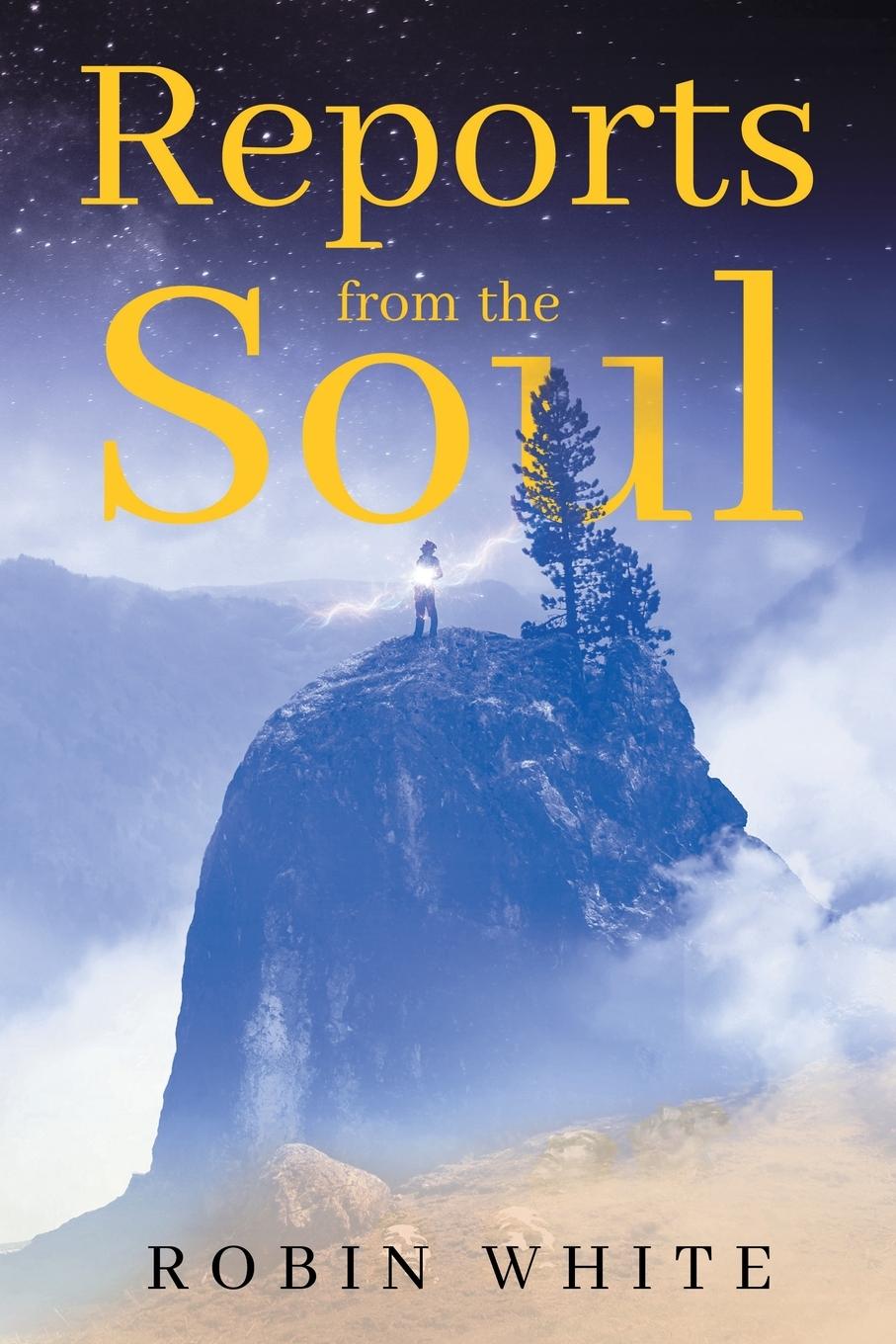 Vorderes Coverbild Reports From The Soul