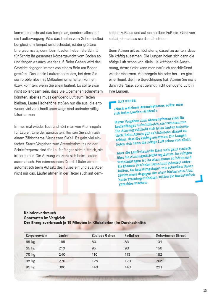 Beispielinhalt (Bild) So schaffen Sie jedes Laufziel!