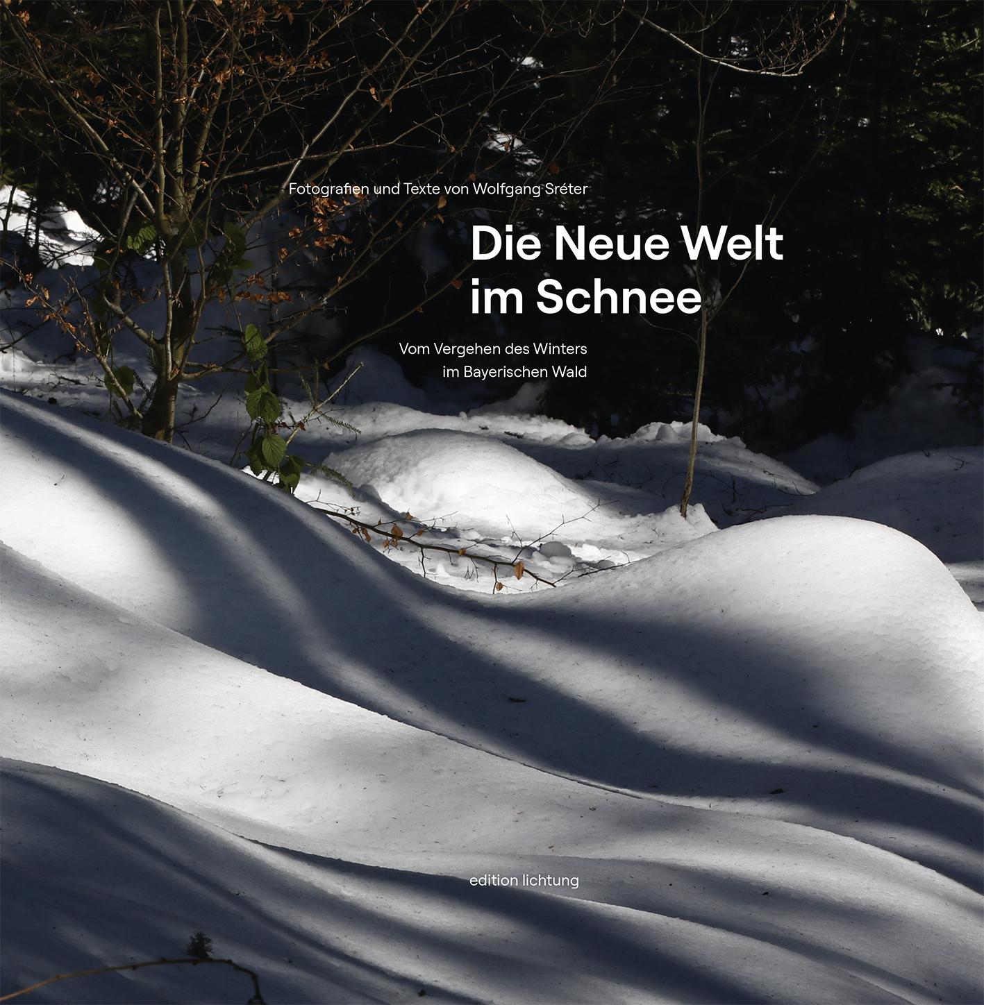 Vorderes Coverbild Die Neue Welt im Schnee