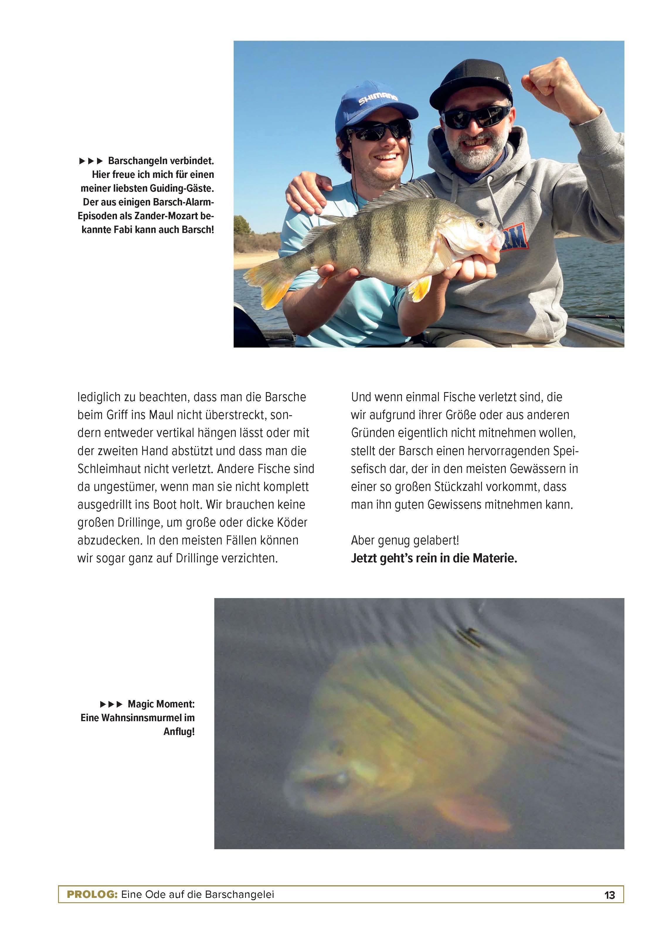 Beispielinhalt (Bild) Barsch-Alarm 2.0