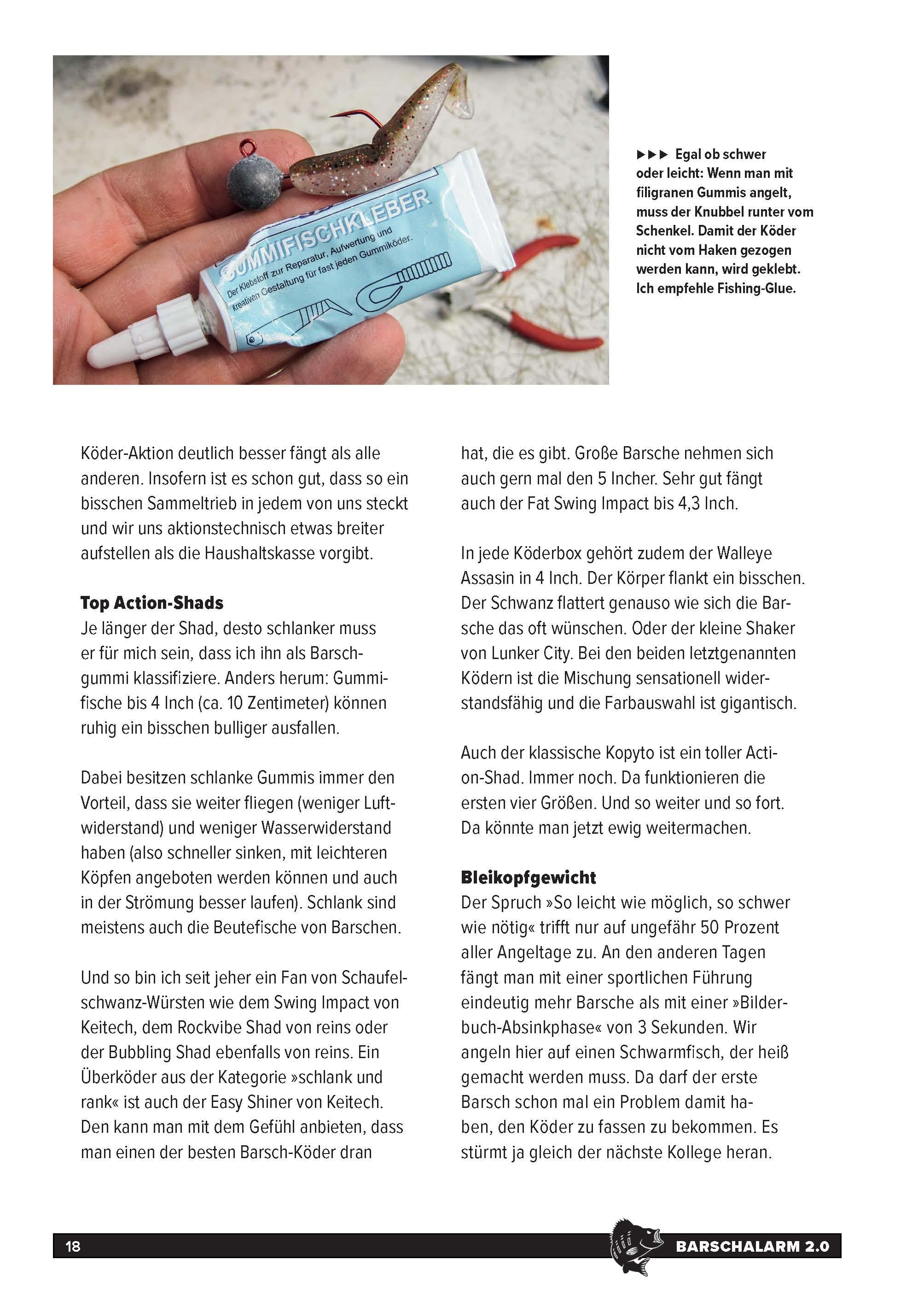 Beispielinhalt (Bild) Barsch-Alarm 2.0