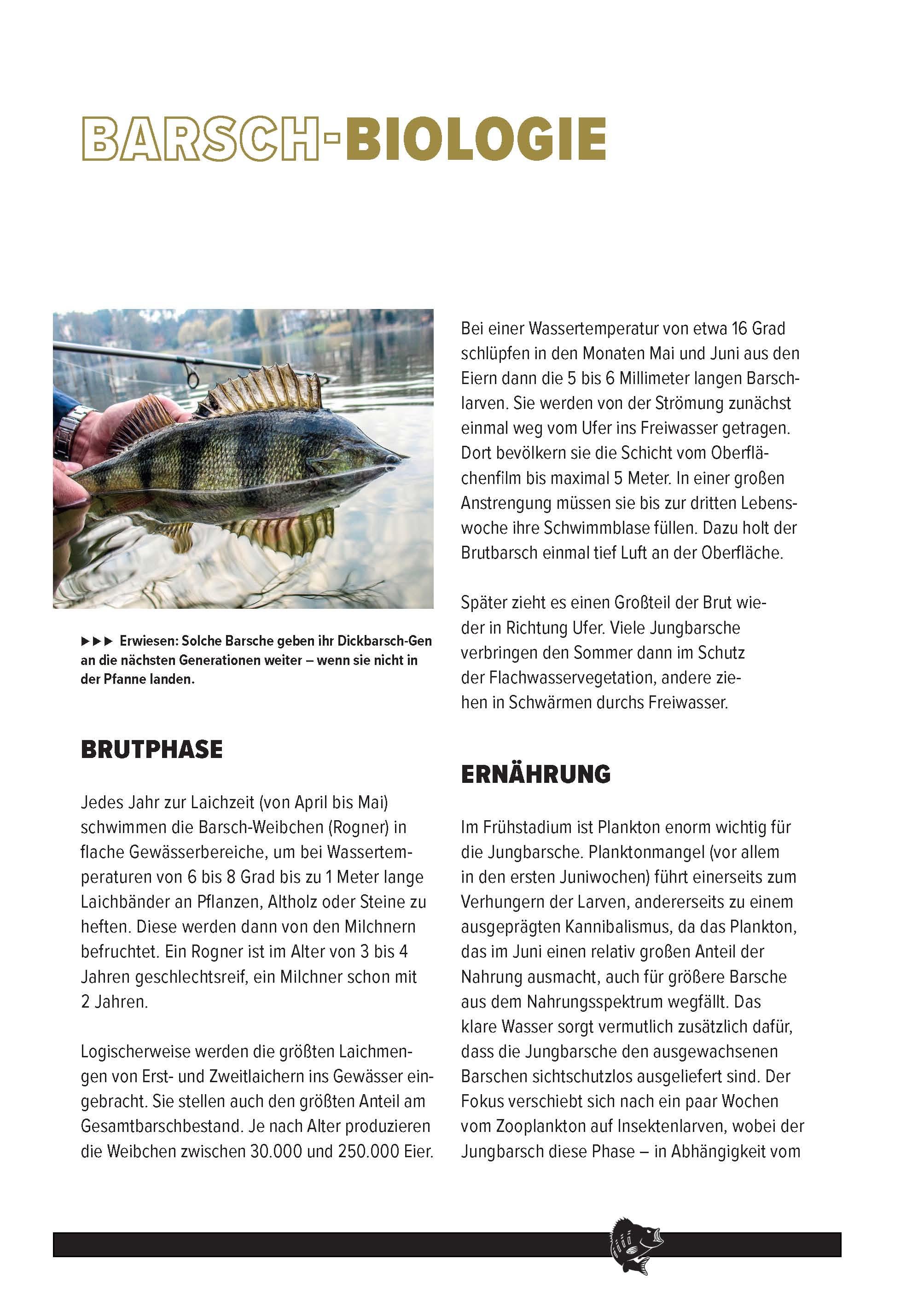 Beispielinhalt (Bild) Barsch-Alarm 2.0