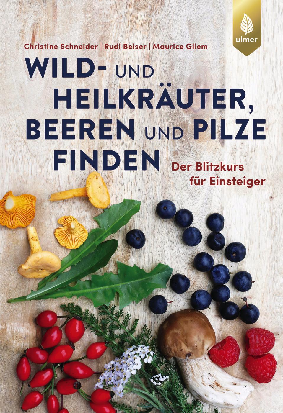 Vorderes Coverbild Wild- und Heilkräuter, Beeren und Pilze finden