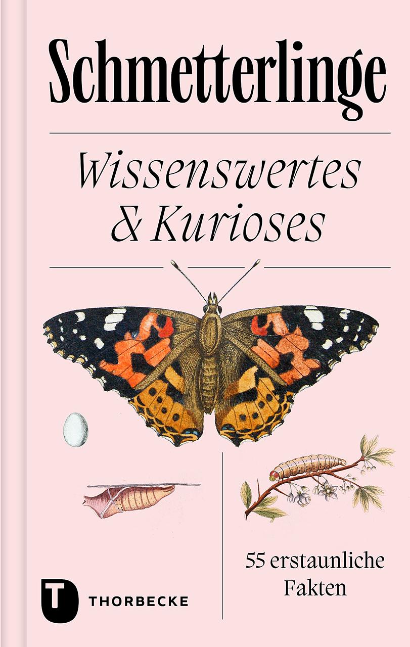 Vorderes Coverbild Schmetterlinge