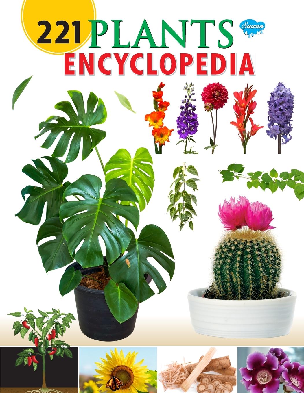Vorderes Coverbild 221 Plants Encyclopedia