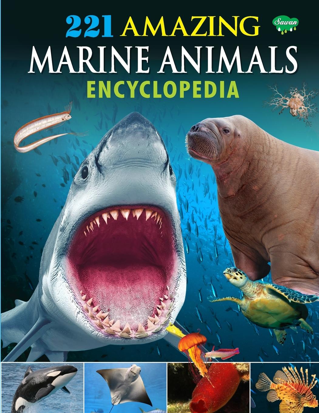 Vorderes Coverbild 221 Amazing Marine Animals Encyclopedia