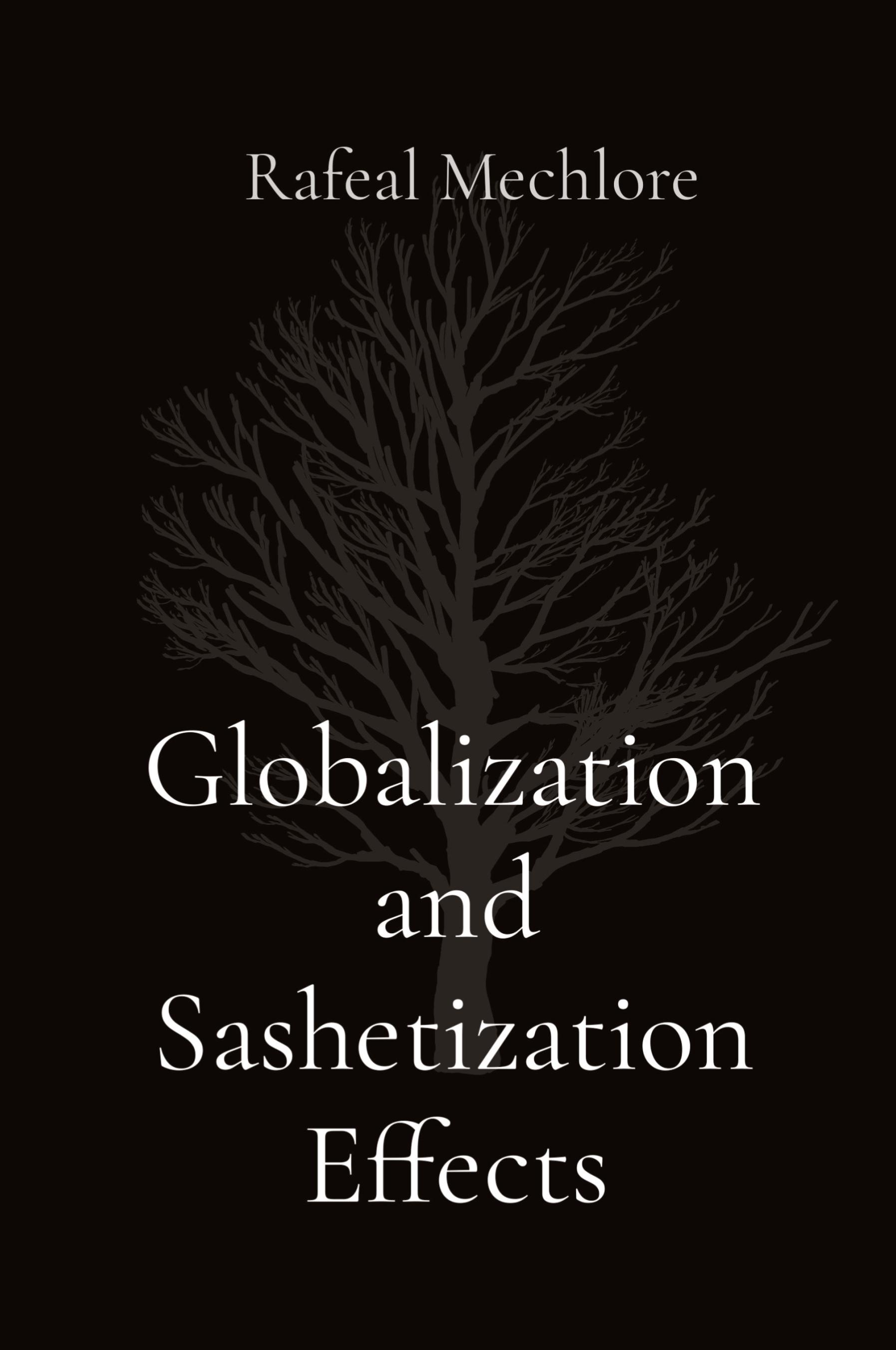 Vorderes Coverbild Globalization and Sashetization Effects
