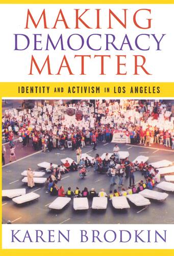 Vorderes Coverbild Making Democracy Matter