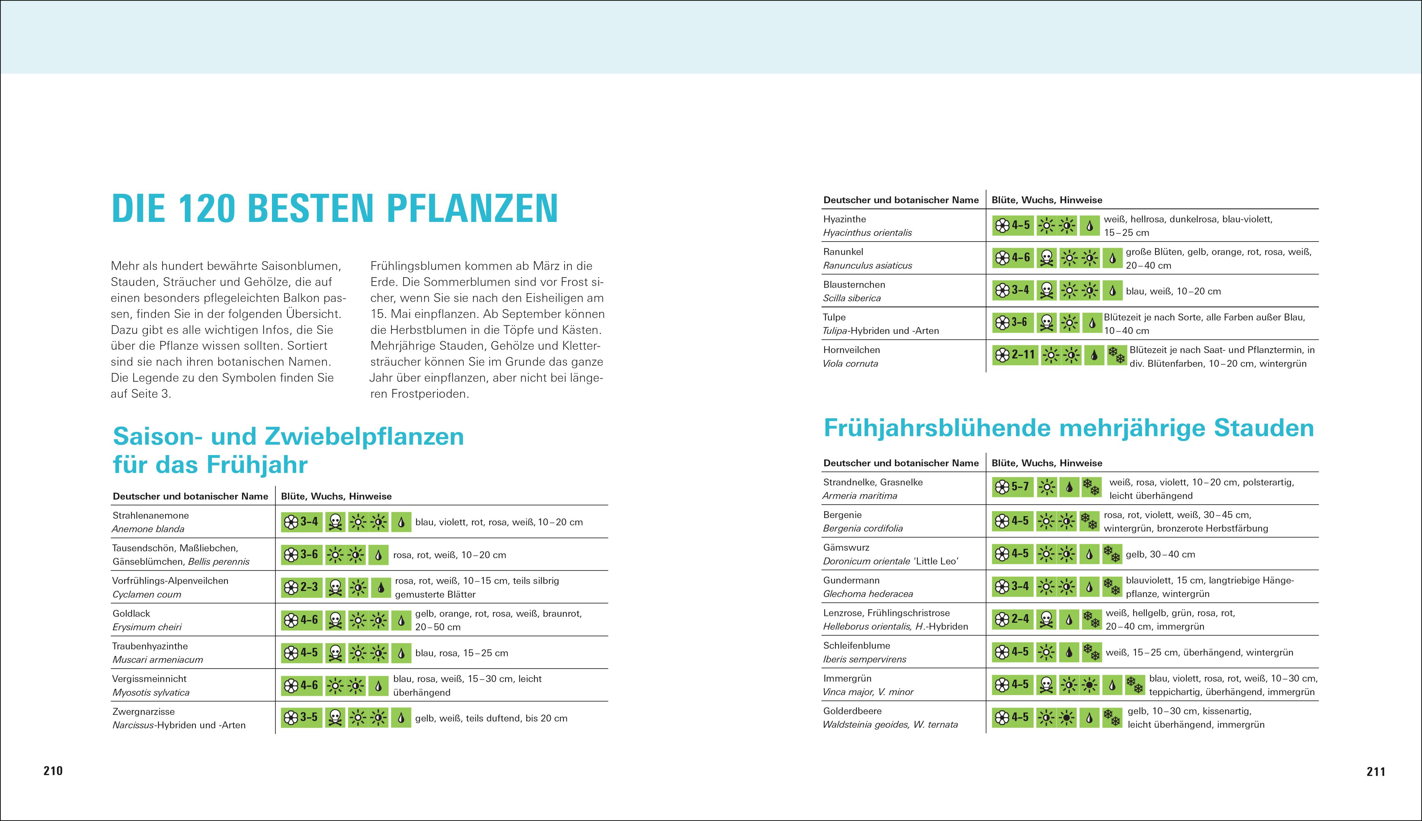 Beispielinhalt (Bild) Balkongärtnern