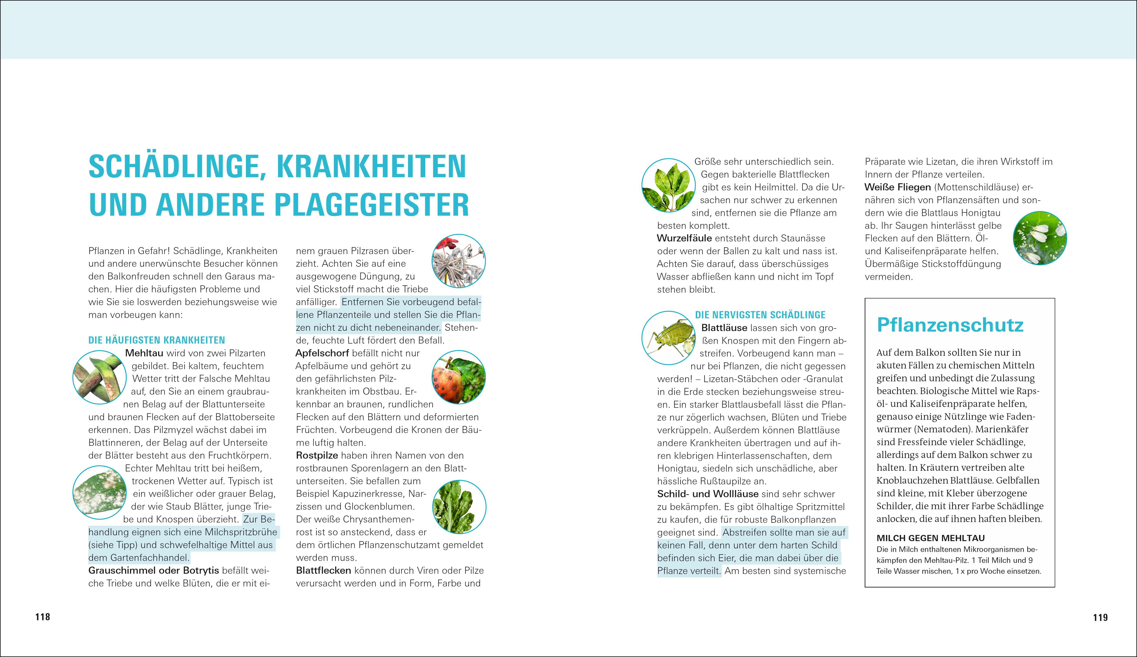 Beispielinhalt (Bild) Balkongärtnern